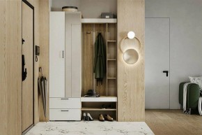 Гарнитур для прихожей Торонто в Нягани - nyagan.mebel24.online | фото 5