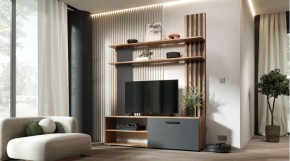 КАРОЛИНА Гостиная (дуб вотан/графит) в Нягани - nyagan.mebel24.online | фото