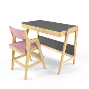 Комплект растущий стол и стул с чехлом 38 попугаев «Вуди» (Серый, Береза, Розовый) в Нягани - nyagan.mebel24.online | фото