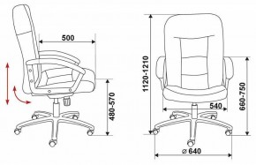 Кресло компьютерное Бюрократ T-9908AXSN-AB в Нягани - nyagan.mebel24.online | фото 6