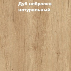 Кровать с основанием с ПМ и местом для хранения (1600) в Нягани - nyagan.mebel24.online | фото 4