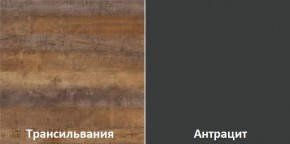 Кухонный гарнитур угловой Трансильвания 2600х1600 мм (Стол. 38 мм) в Нягани - nyagan.mebel24.online | фото 3