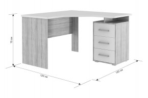 ЛАЙТ К4 Компьютерный стол в Нягани - nyagan.mebel24.online | фото 6