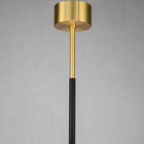 Люстра на штанге Favourite Maximo 2623-12P в Нягани - nyagan.mebel24.online | фото 7