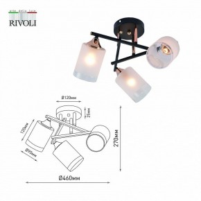 Люстра на штанге Rivoli Fiona Б0059259 в Нягани - nyagan.mebel24.online | фото