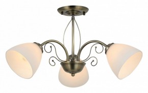 Люстра на штанге Rivoli Sue Б0060985 в Нягани - nyagan.mebel24.online | фото 2