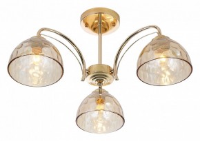 Люстра на штанге Rivoli Terri Б0060988 в Нягани - nyagan.mebel24.online | фото