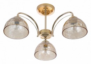Люстра на штанге Rivoli Terri Б0060988 в Нягани - nyagan.mebel24.online | фото 2