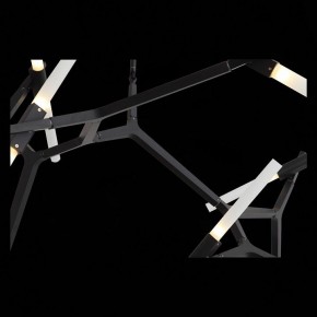 Люстра на штанге ST-Luce Laconicita SL947.402.20 в Нягани - nyagan.mebel24.online | фото 12