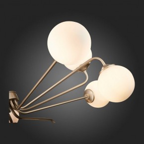 Люстра на штанге ST-Luce Redjino SLE106203-12 в Нягани - nyagan.mebel24.online | фото 7