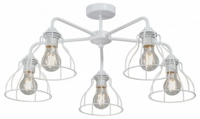 Люстра на штанге Vitaluce V3102 V3102-0/5PL в Нягани - nyagan.mebel24.online | фото