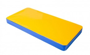 Мат гимнастический 1х0,5х0,08м цв. синий-желтый в Нягани - nyagan.mebel24.online | фото 1