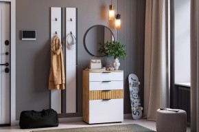 МЕБЕЛЬСОН К21 Прихожая (белое дерево) в Нягани - nyagan.mebel24.online | фото