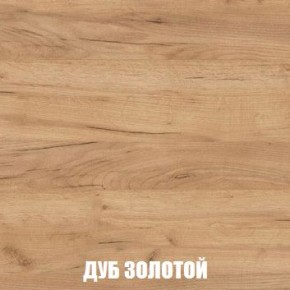 МСП-1 Шкаф 2-х створчатый (Дуб Золотой/Камень темный) в Нягани - nyagan.mebel24.online | фото 4