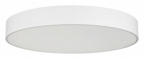 Накладной светильник Arlight TOR PILL 022132(4) в Нягани - nyagan.mebel24.online | фото