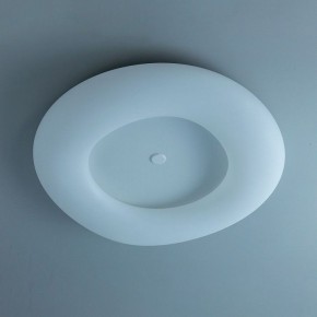 Накладной светильник Citilux Стратус Смарт CL732A800G в Нягани - nyagan.mebel24.online | фото 10