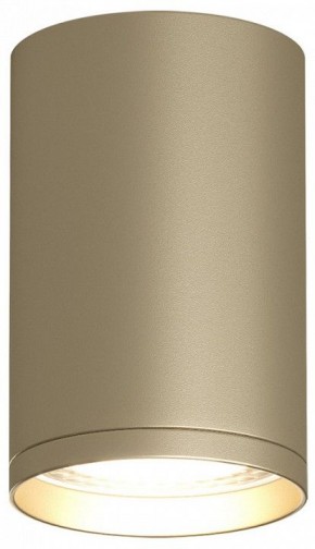 Накладной светильник Denkirs TUBE DK2050-SG в Нягани - nyagan.mebel24.online | фото 2