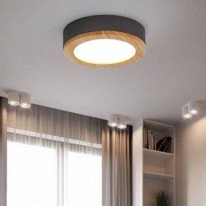 Накладной светильник Imperiumloft Wudda Серый WUDDA01 в Нягани - nyagan.mebel24.online | фото 4