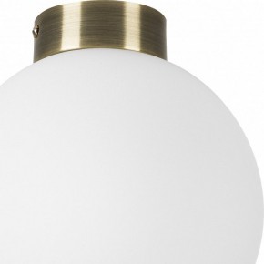 Накладной светильник Lightstar Globo 812021 в Нягани - nyagan.mebel24.online | фото 3