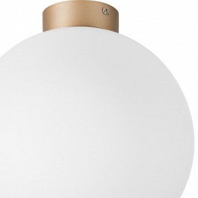 Накладной светильник Lightstar Globo 812033 в Нягани - nyagan.mebel24.online | фото 2