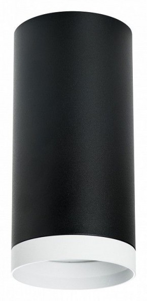 Накладной светильник Lightstar Rullo R64873486 в Нягани - nyagan.mebel24.online | фото