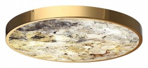 Накладной светильник Odeon Light Bergi 5079/50L в Нягани - nyagan.mebel24.online | фото 5