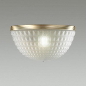 Накладной светильник Odeon Light Malaga 4936/1W в Нягани - nyagan.mebel24.online | фото 2