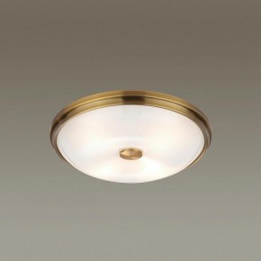 Накладной светильник Odeon Light Pelow 4956/4 в Нягани - nyagan.mebel24.online | фото 2