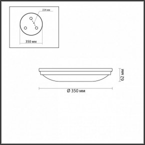Накладной светильник Odeon Light Pelow 4956/4 в Нягани - nyagan.mebel24.online | фото 3