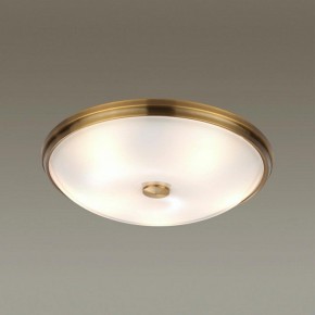 Накладной светильник Odeon Light Pelow 4956/5 в Нягани - nyagan.mebel24.online | фото 2