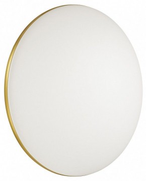 Накладной светильник Sonex Lassa 3043/DL в Нягани - nyagan.mebel24.online | фото 4