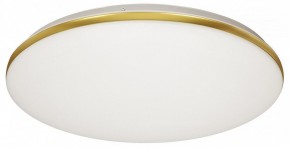 Накладной светильник Sonex Lassa 3043/DL в Нягани - nyagan.mebel24.online | фото 5