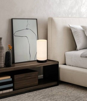 Настольная лампа декоративная Eglo Feniglia 900861 в Нягани - nyagan.mebel24.online | фото 2