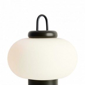 Настольная лампа декоративная Freya Take FR6175TL-L10B в Нягани - nyagan.mebel24.online | фото 5