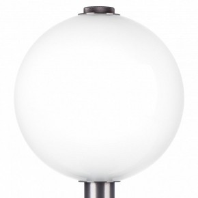 Настольная лампа декоративная Lightstar Colore 805916 в Нягани - nyagan.mebel24.online | фото 6
