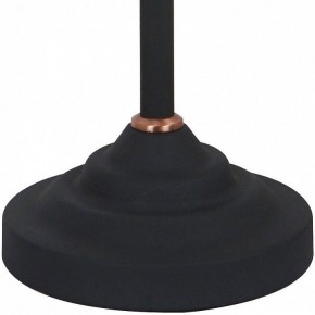 Настольная лампа офисная Arte Lamp Braccio A2054LT-1BK в Нягани - nyagan.mebel24.online | фото 4