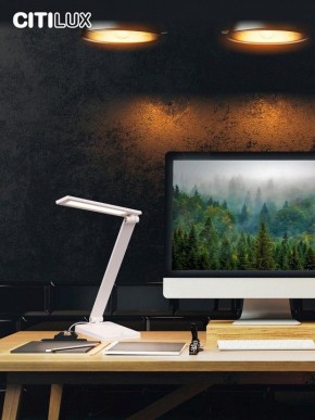 Настольная лампа офисная Citilux Ньютон CL803080 в Нягани - nyagan.mebel24.online | фото 10