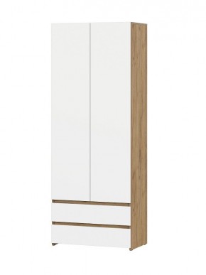 НЕКСТ 1 Шкаф двухстворчатый с ящиками в Нягани - nyagan.mebel24.online | фото