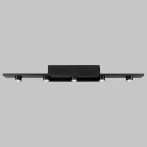 Подсветка для картины Imex VINCENT IL.0040.0050-5 SBK в Нягани - nyagan.mebel24.online | фото