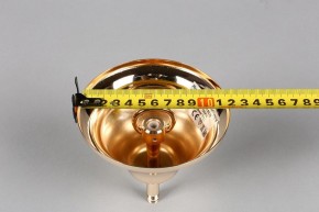 Подвесная люстра Aployt Daniele APL.701.03.12 в Нягани - nyagan.mebel24.online | фото 6