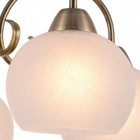 Подвесная люстра Arte Lamp Margo A9317LM-5AB в Нягани - nyagan.mebel24.online | фото 2