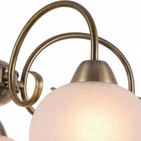 Подвесная люстра Arte Lamp Margo A9317LM-5AB в Нягани - nyagan.mebel24.online | фото 3