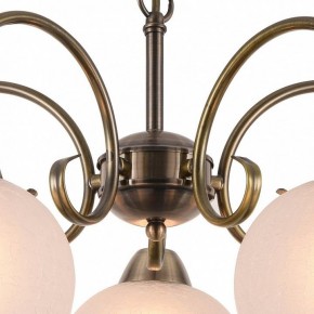 Подвесная люстра Arte Lamp Margo A9317LM-5AB в Нягани - nyagan.mebel24.online | фото 4