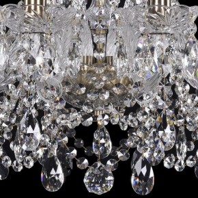 Подвесная люстра Bohemia Ivele Crystal 1411 1411/10/195/Pa в Нягани - nyagan.mebel24.online | фото 3