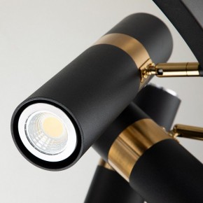 Подвесная люстра Favourite Light point 2997-9P в Нягани - nyagan.mebel24.online | фото 5