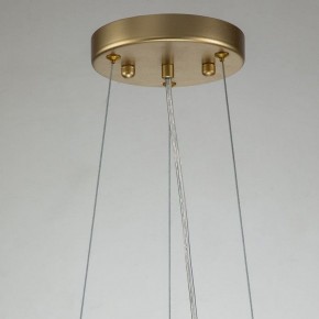 Подвесная люстра Favourite Rays 4058-14P в Нягани - nyagan.mebel24.online | фото 11