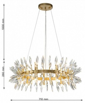 Подвесная люстра Favourite Rays 4058-14P в Нягани - nyagan.mebel24.online | фото 7