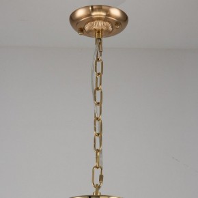 Подвесная люстра Favourite Rocca 2689-9P в Нягани - nyagan.mebel24.online | фото 2