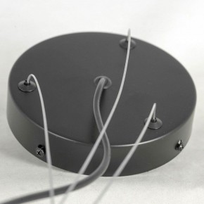 Подвесная люстра Lussole LSP-875 LSP-8750 в Нягани - nyagan.mebel24.online | фото 5