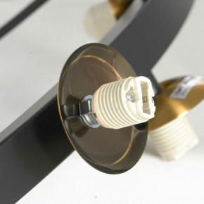 Подвесная люстра Lussole LSP-875 LSP-8750 в Нягани - nyagan.mebel24.online | фото 6